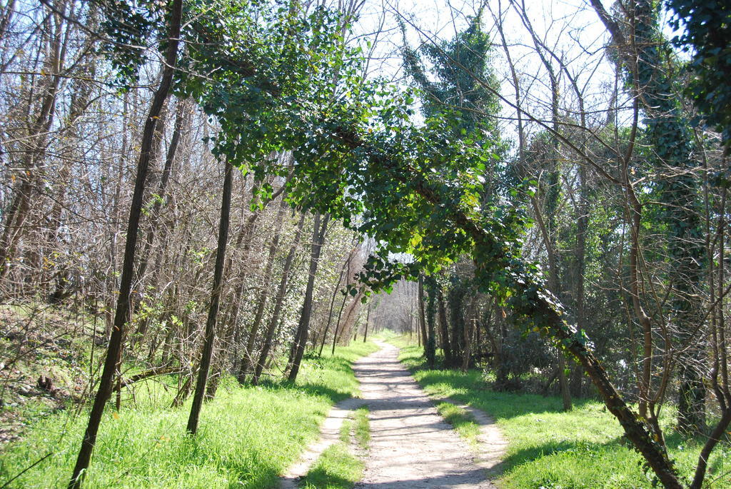 B&B Percorso Verde Ponte Valleceppi Dış mekan fotoğraf